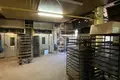 Инвестиционная 500 м² Belka, Россия