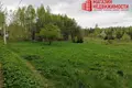 Land  Karobcycy, Belarus