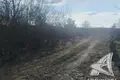 Parcelas  Vielikarycki sielski Saviet, Belarús