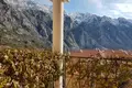 Квартира 3 спальни 126 м² Donji Orahovac, Черногория