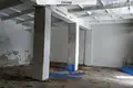 Magazyn 1 269 m² Pleszczenice, Białoruś