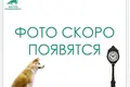 Квартира 1 комната 35 м² Минск, Беларусь