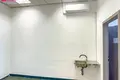 Gewerbefläche 199 m² Ponewiesch, Litauen