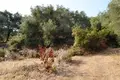Land 1 room 6 500 m² Kariotiko, Greece