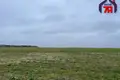 Grundstück  Smilavicki sielski Saviet, Belarus