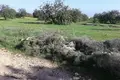 Земельные участки  Суни-Занакия, Кипр
