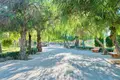 2 bedroom apartment 76 m² Torrevieja, Spain
