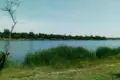 Działki 1 pokój 16 m² Nova Dolyna, Ukraina