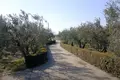 Cottage 5 bedrooms 342 m² Finikes, Greece