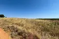 Land 14 000 m² Dionysiou, Greece