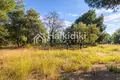 Parcelas 15 000 m² Nikiti, Grecia