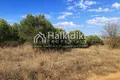 Parcelas 9 000 m² Nea Flogita, Grecia