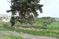 Земельные участки 1 комната  Municipality of Sitia, Греция
