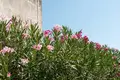 Edificio rentable 300 m² en Minervino di Lecce, Italia