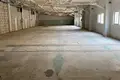 Gewerbefläche 1 311 m² Visaginas, Litauen
