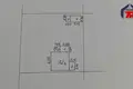 House 39 m² Rudzienski sielski Saviet, Belarus