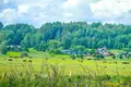 Cottage 295 m² Zdanovicki sielski Saviet, Belarus