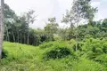 Земельные участки  Чонг Тале, Таиланд