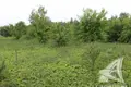 Działki  Cerninski sielski Saviet, Białoruś