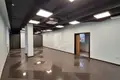 Commercial property 123 m² in Minsk, Belarus