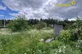 Land  Zodzinski sielski Saviet, Belarus