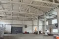 Commercial property 4 000 m² in Deliatyn, Ukraine
