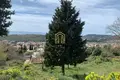 Land  Zankovici, Montenegro