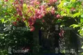 Rezydencja 3 pokoi 246 m² Dzoraghbyur, Armenia