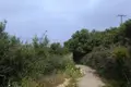 Land  Plataniás, Greece
