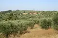 Atterrir 1 chambre  Kriopigi, Grèce