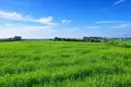 Działki 4 000 m² Kassandrino, Grecja