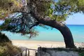 Villa de 6 pièces 140 m² en Kassandra Municipality, Grèce