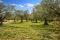 Atterrir 16 728 m² Neos Marmaras, Grèce