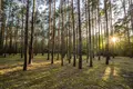 Mieszkanie 600 m² Oslonin, Polska