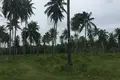 Atterrir  Phang Nga, Thaïlande