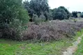Atterrir 1 chambre  Chalikoúnas, Grèce