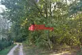 Działki  Padlabienski sielski Saviet, Białoruś
