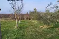 Parcelas  Kanfanar, Croacia