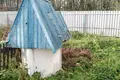House 51 m² Camiary, Belarus