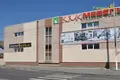 Tienda 420 m² en Zhlobin, Belarús