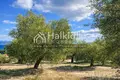 Atterrir 10 941 m² Chaniotis, Grèce