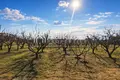 Parcelas 5 400 m² Nea Plagia, Grecia