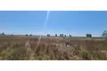 Land 42 830 m² Bashkia Durres, Albania