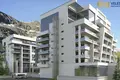 Developer project