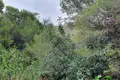 Земельные участки 1 спальня 300 м² Дения, Испания
