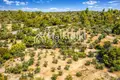Parcelas 13 365 m² Municipality of Sithonia, Grecia