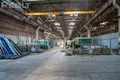 Manufacture 3 933 m² in Minsk, Belarus