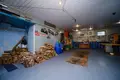 House 253 m² Sienica, Belarus