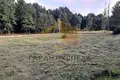 Земельные участки  Знаменский сельский Совет, Беларусь