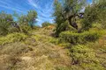 Parcelas 5 962 m² Neos Marmaras, Grecia